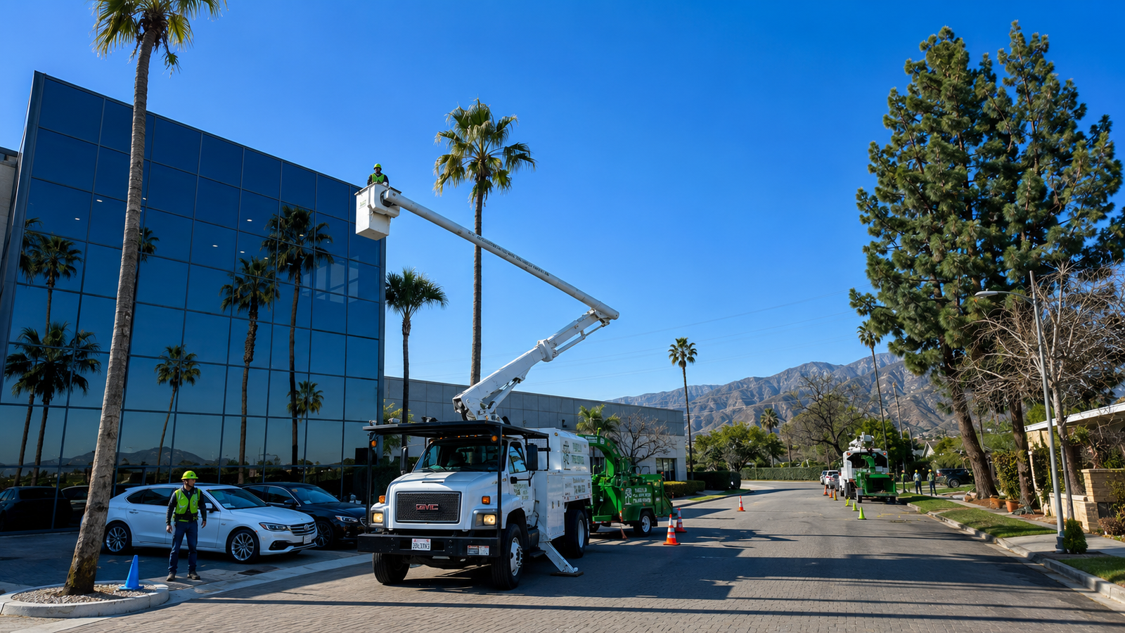 Professional tree removal service in Orange County