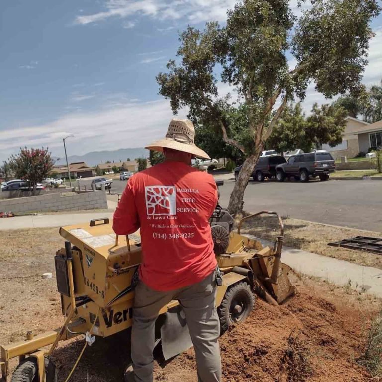 Residential tree service