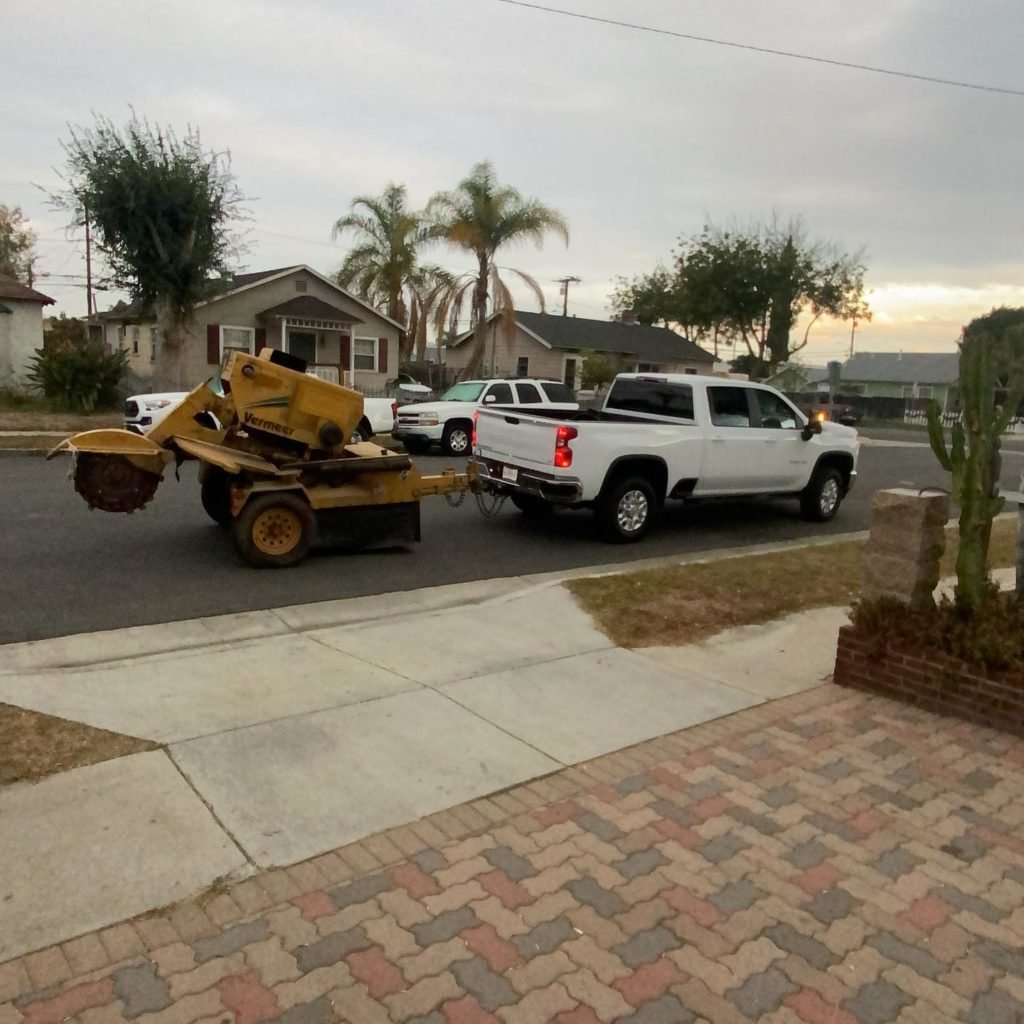 Commercial tree service